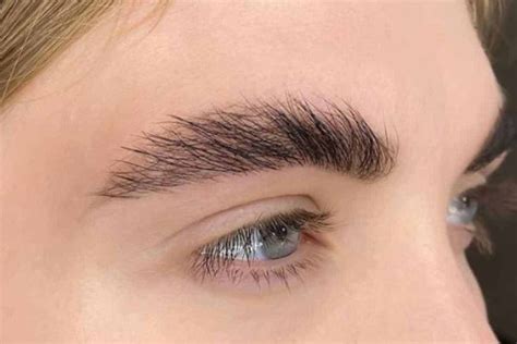 how long do eyebrow slits take to grow back